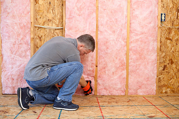 Best Batt and Roll Insulation  in Asheville, NC