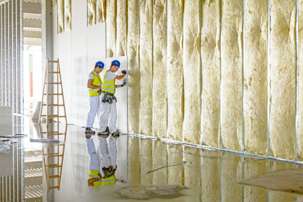 Best Wall Insulation Installation  in Asheville, NC